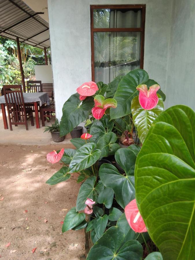 Quiet Rest Inn Ella Luaran gambar
