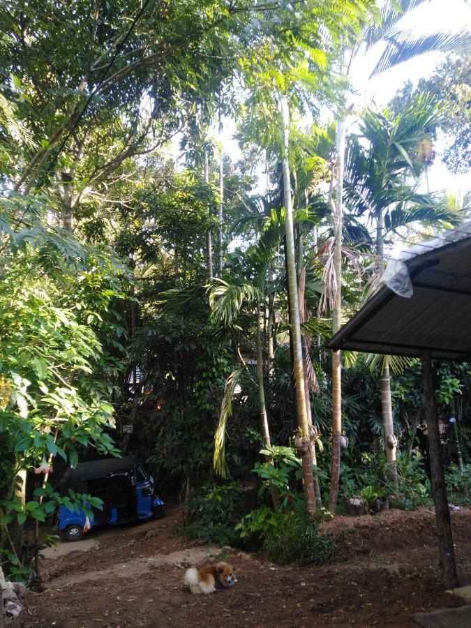 Quiet Rest Inn Ella Luaran gambar